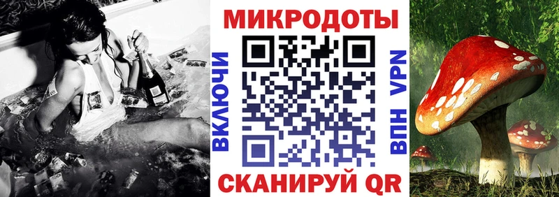 мега вход  Горно-Алтайск  Галлюциногенные грибы MAGIC MUSHROOMS 